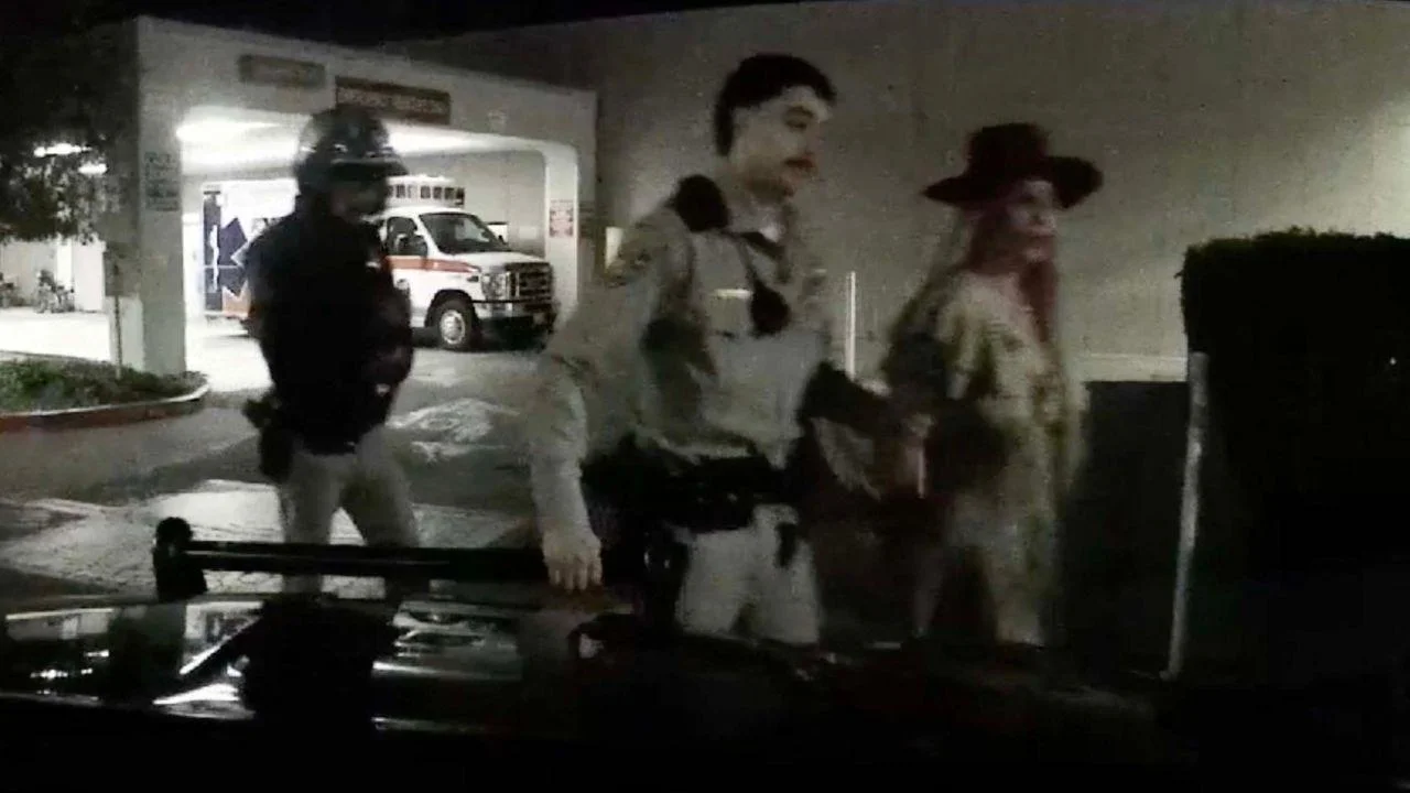 photo of The mom-of-two went to rehab after her March arrest.
