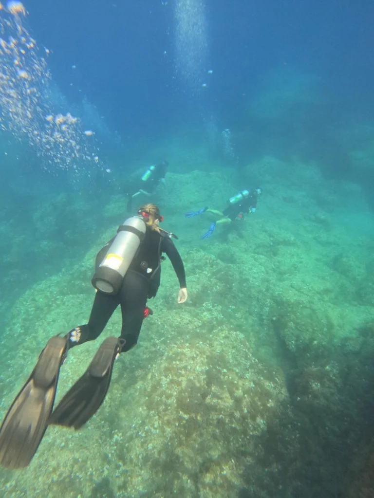 Three divers, wearing full black wetsuits and diving tanks, swim together in clear blue ocean water over a light green reef.