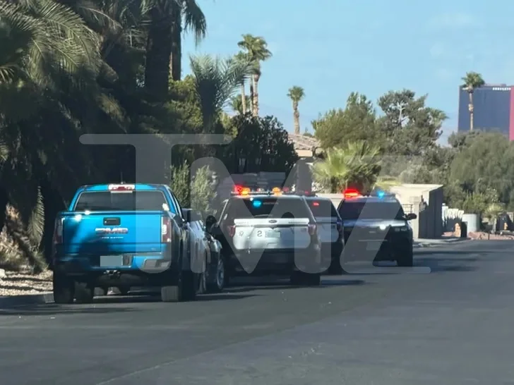 Police vehicles parked outside a house in Las Vegas.