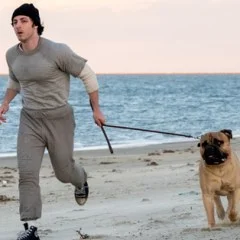 Toronto International Film Festival 2026: Movie Scorecard