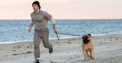 Toronto International Film Festival 2026: Movie Scorecard